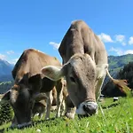 Melina * Neukirchen am Großvenediger